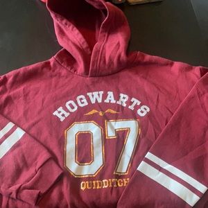 Harry Potter hogwarts  quidditch hoodie